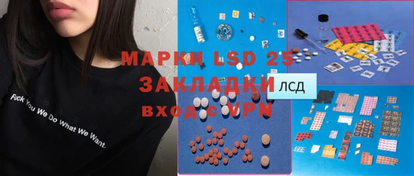 сатива Верея