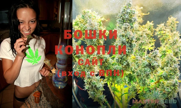 стаф Бородино