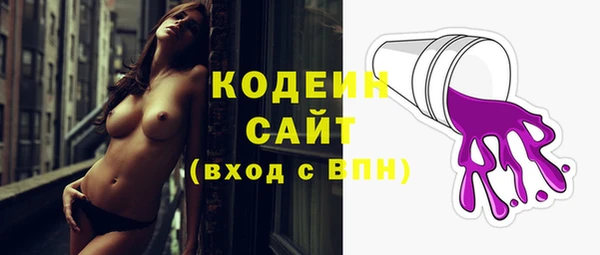 стаф Бородино